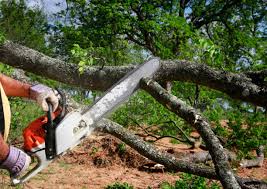 Lawn Renovation and Restoration in Hunter, OH